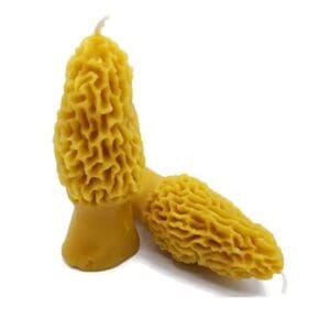 Beeswax Candles Morel Mushrooms Shaped Candles Set/2  Made in Oregon
