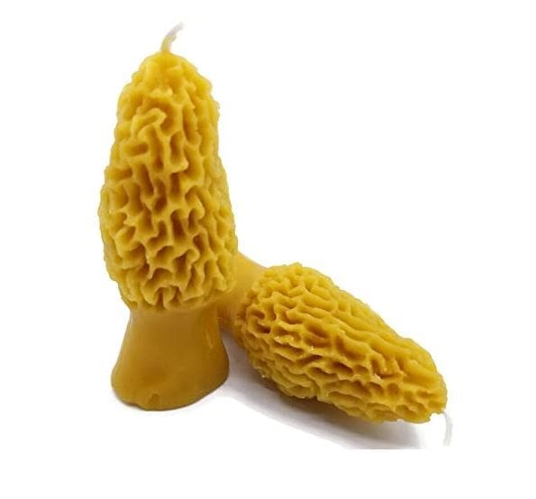 Beeswax Candles Morel Mushrooms Shaped Candles Set/2 Made in Oregon