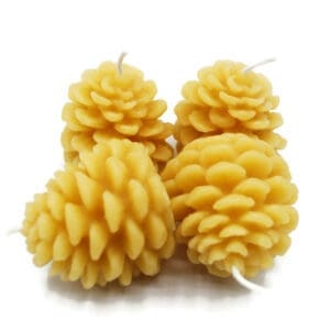 Beeswax Candles Tiny Pine Cones Pinecones set of 4
