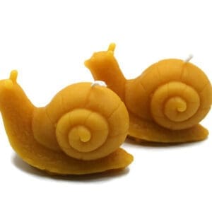 Pure Beeswax Candles Snail Mollusk shaped set/2