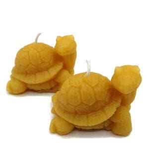 Pure Beeswax Tiny Turtle Candle set of 2