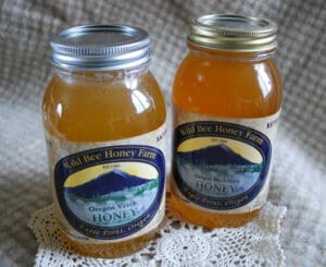 Quarts of Wild Bee Honey