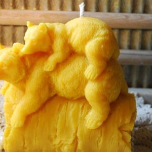 Beeswax Candle Bear Bears Piggyback Bears Playful Shape