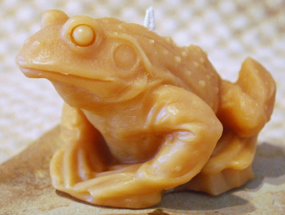 Pure Beeswax life size Frog or Toad candle - Image 3