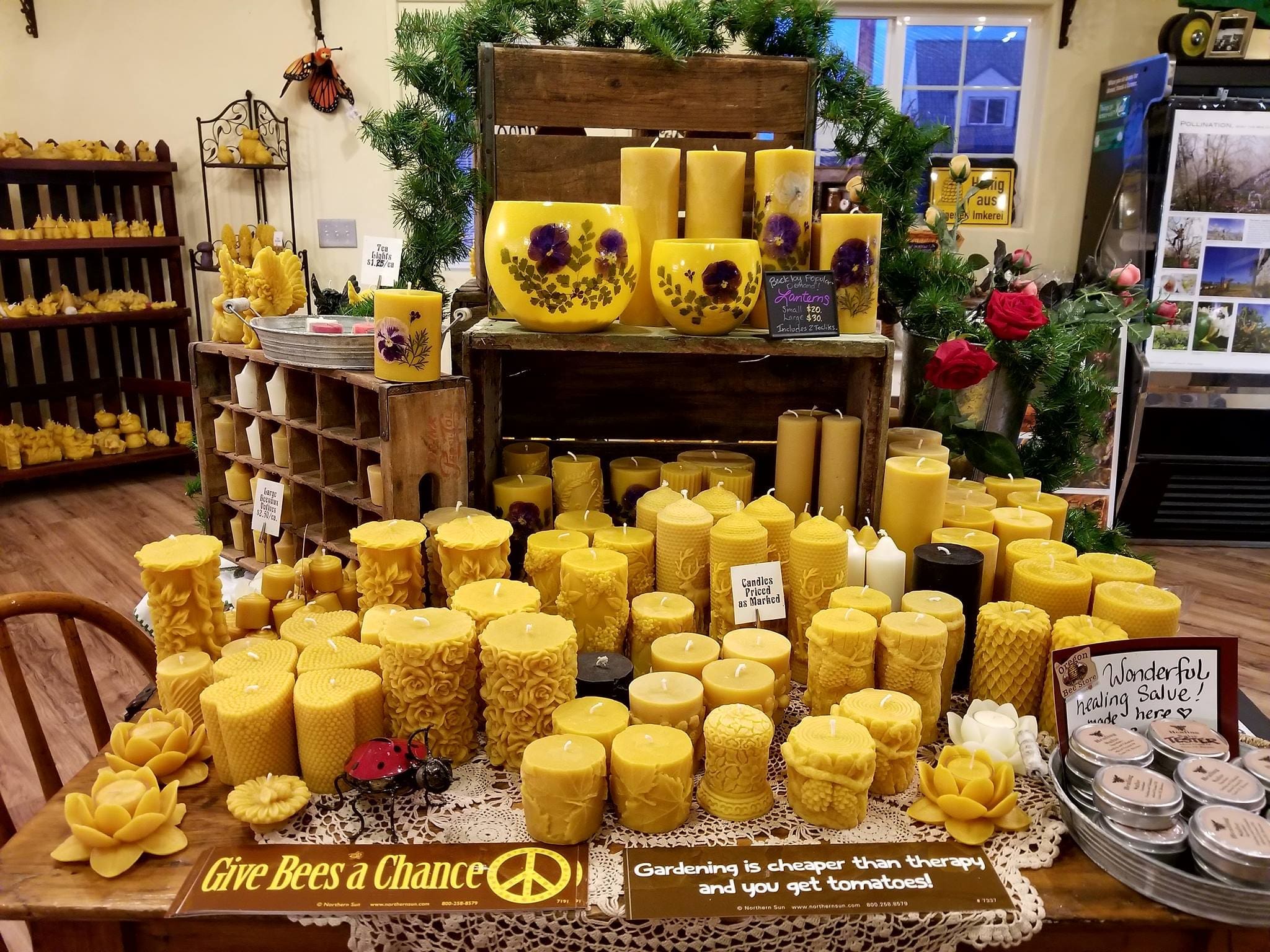 24291720_1577593492286898_273808554378125004_o_1577593492286898