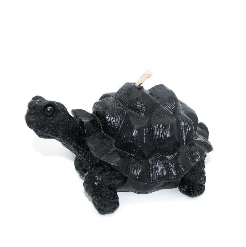 Black Turtle