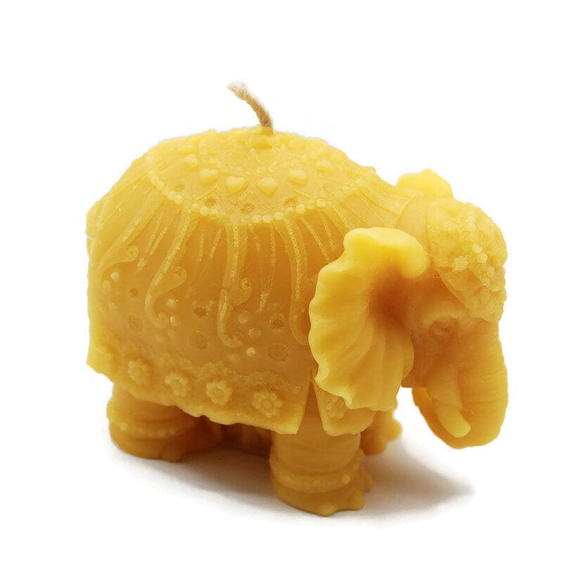 LG DEC Elephant 2 - Copy