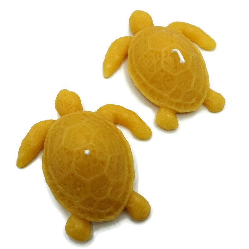 Sea Turtles - Copy