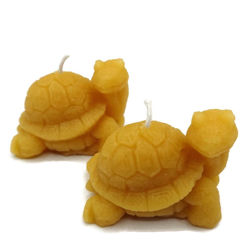 Tiny Turtles - Copy