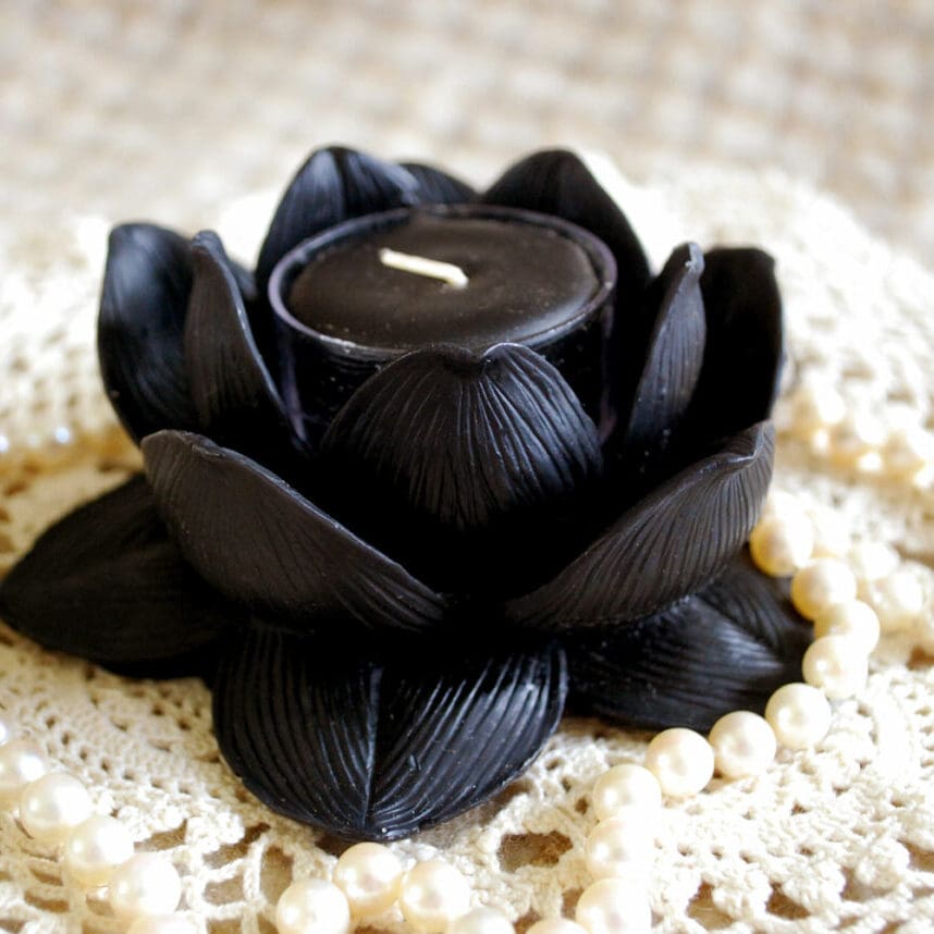 black-lotus-holder-1