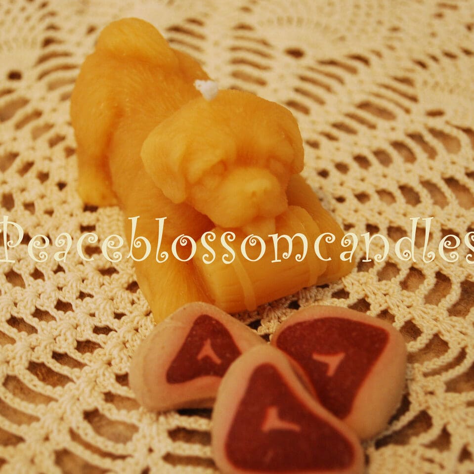 puppy-with-watermark